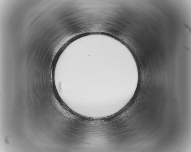 X0000099320934200805301213