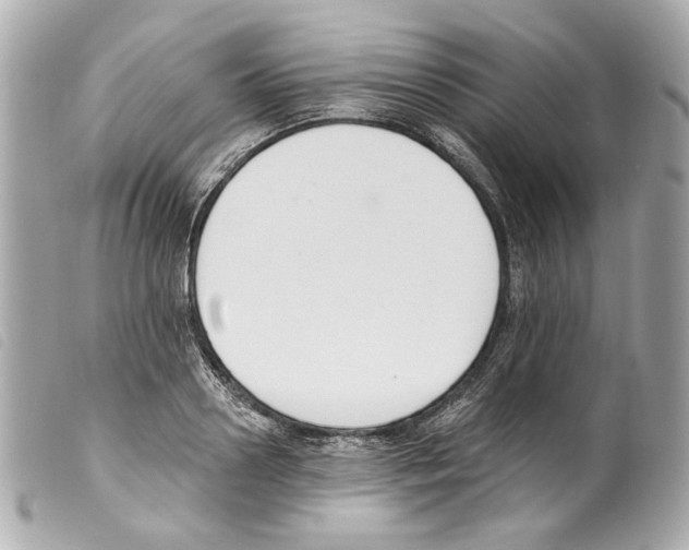 X0000099320938200805301213