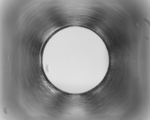 X0000099320940200805301213