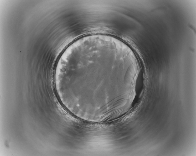 X0000099320941200805301213