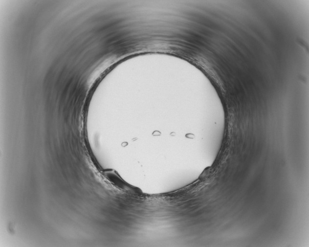 X0000099320944200805301213