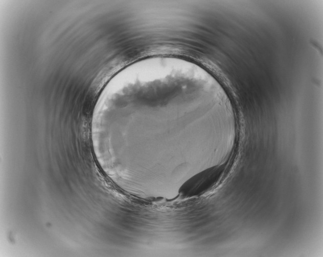 X0000099320945200805301213