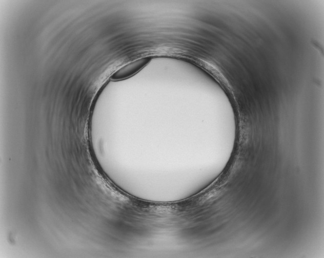 X0000099320946200805301213