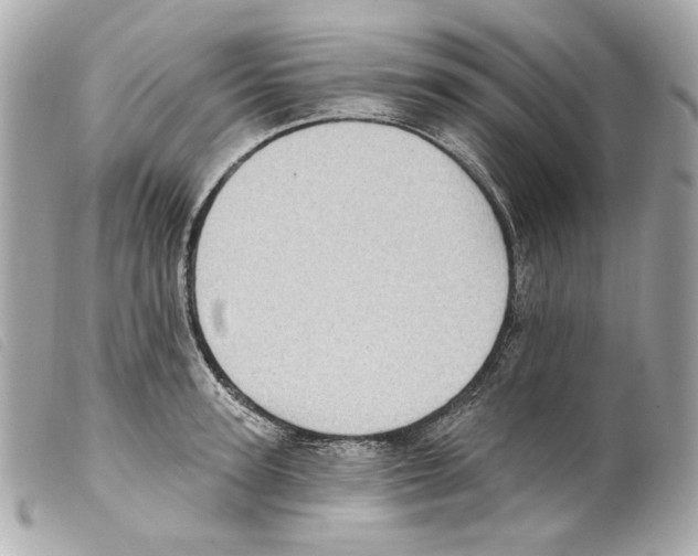 X0000099320947200805301213
