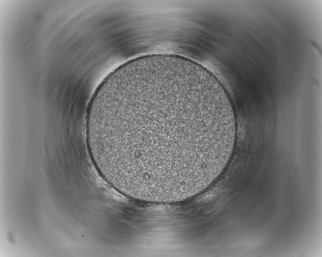 X0000099320950200805301213