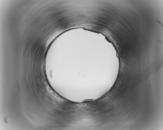 X0000099320952200805301213