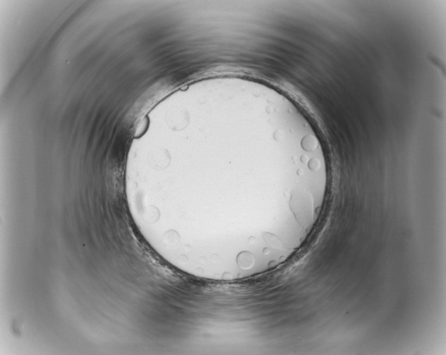 X0000099320953200805301213