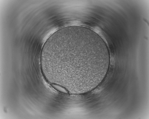 X0000099320954200805301213