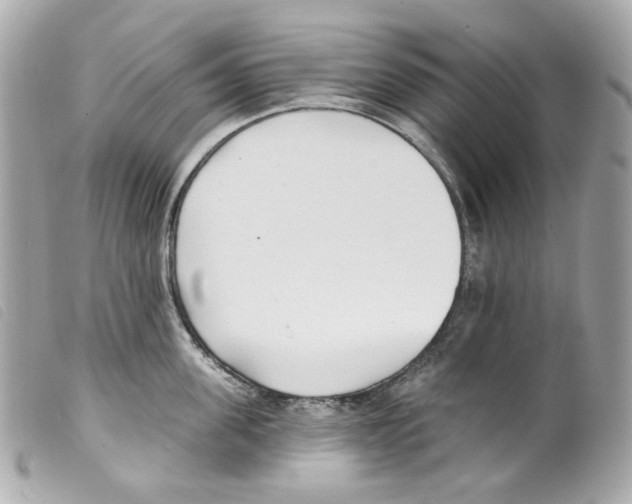 X0000099320955200805301213