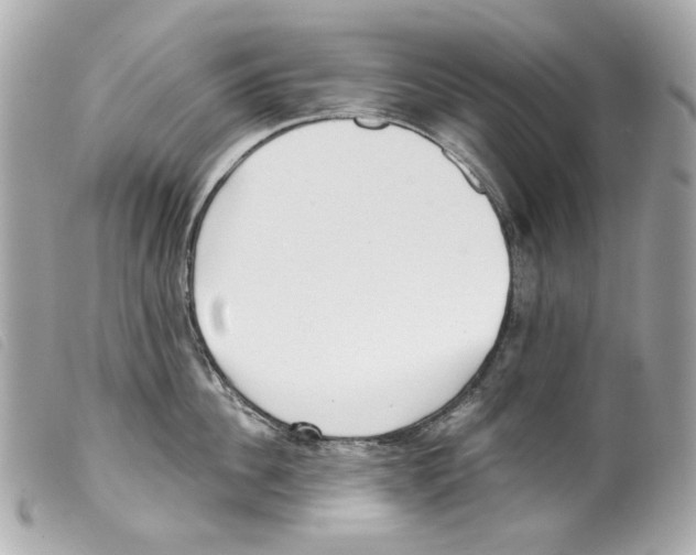 X0000099320956200805301213