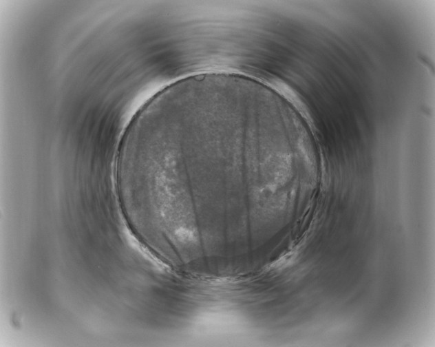 X0000099320958200805301213