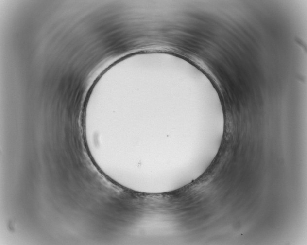 X0000099320959200805301213