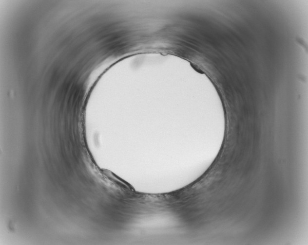 X0000099320960200805301213