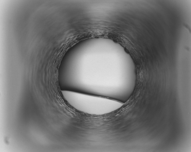 X0000099320961200805301212