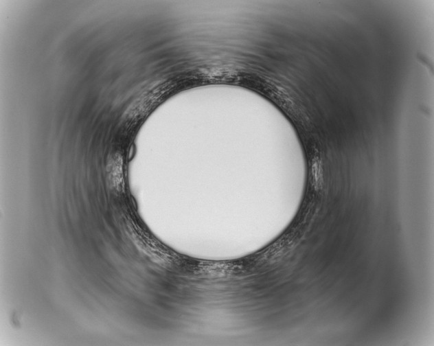 X0000099320963200805301212