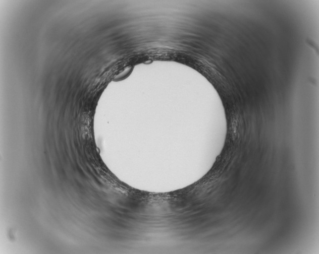 X0000099320964200805301212