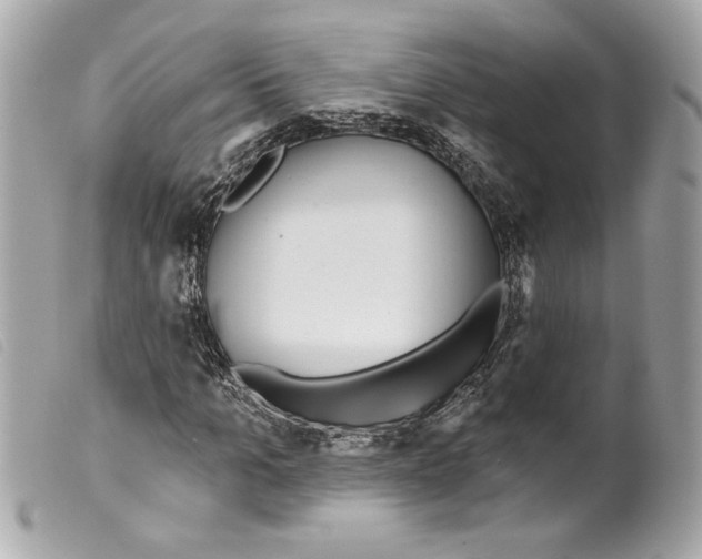 X0000099320965200805301212