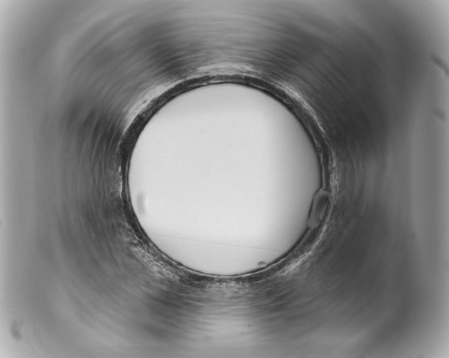 X0000099320973200805301212