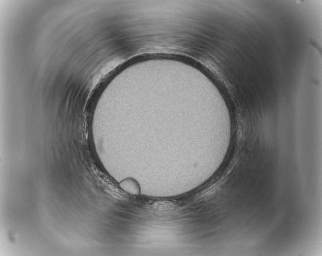 X0000099320974200805301212