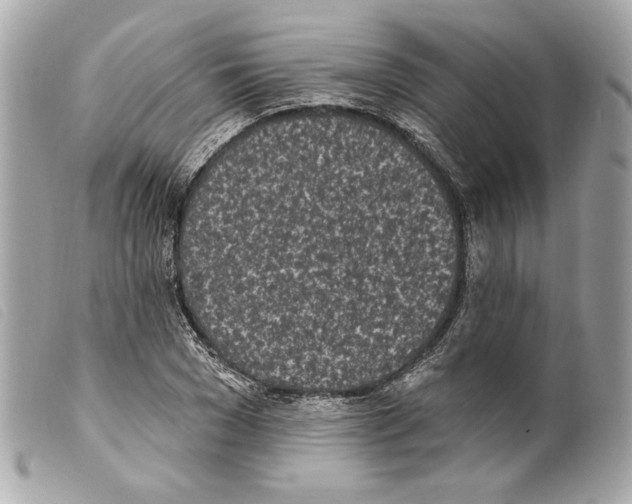 X0000099320977200805301212