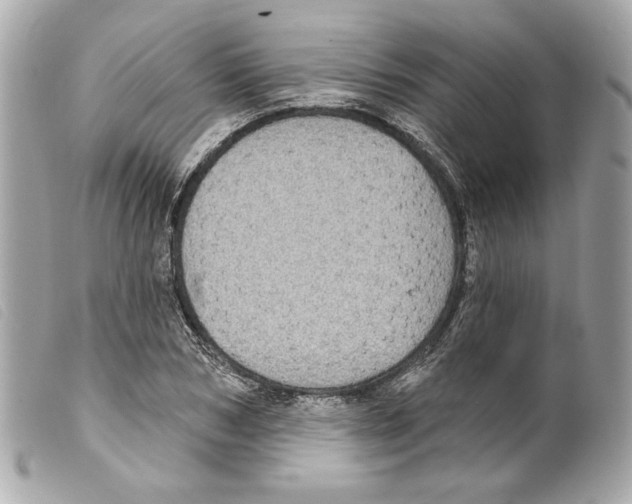 X0000099320978200805301212