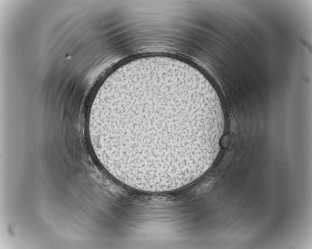 X0000099320979200805301212