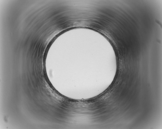 X0000099320980200805301212