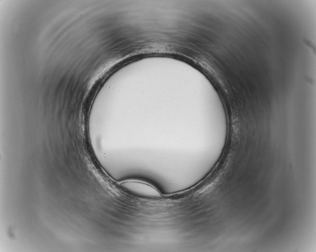X0000099320981200805301212