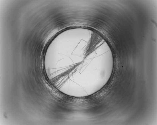 X0000099320982200805301212