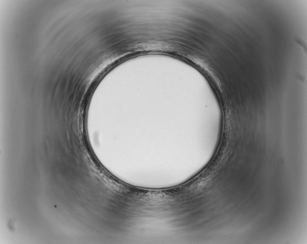 X0000099320983200805301212
