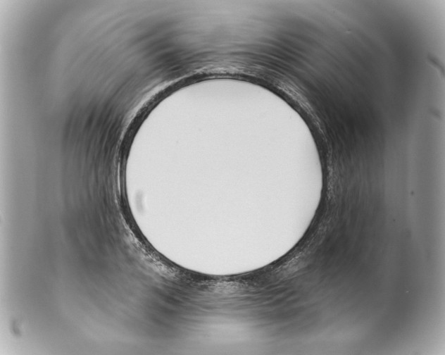 X0000099320984200805301212
