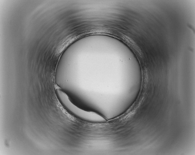 X0000099320985200805301212