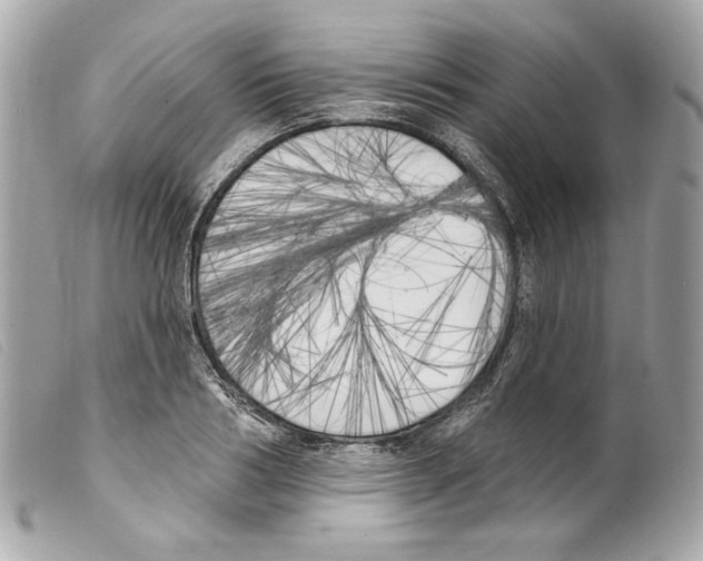 X0000099320986200805301212
