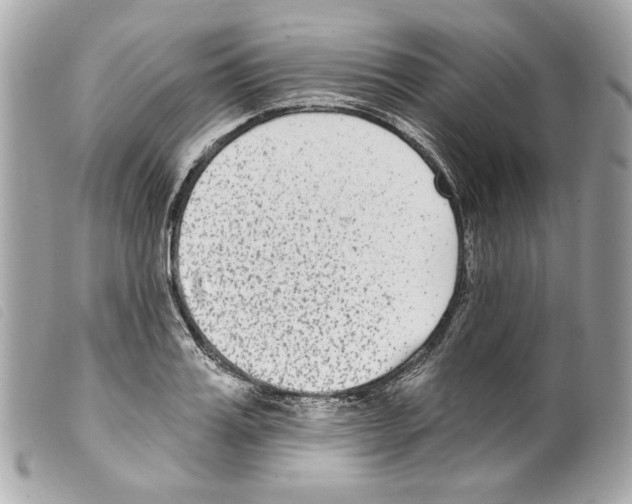 X0000099320987200805301212