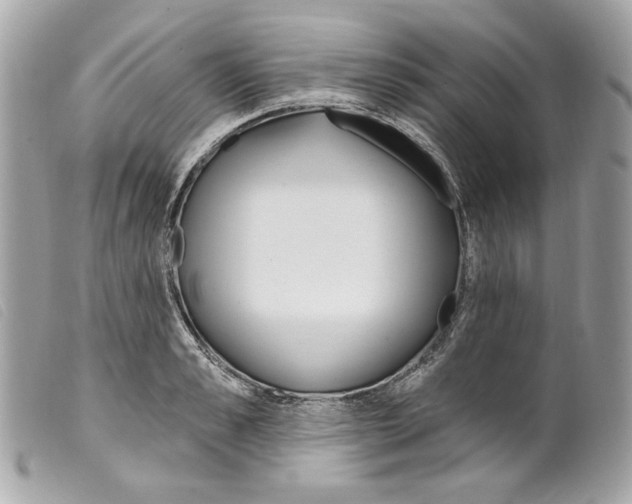 X0000099320989200805301212