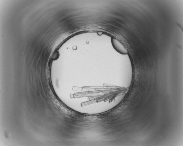 X0000099320990200805301212