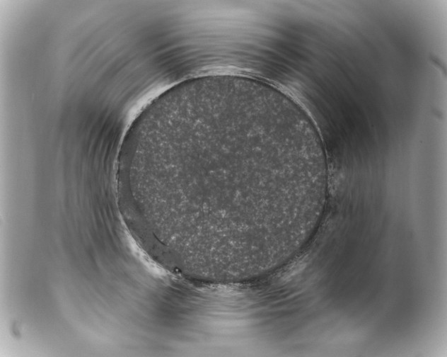 X0000099320995200805301212