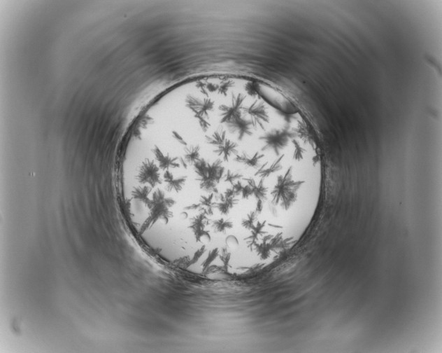 X0000099320998200805301212