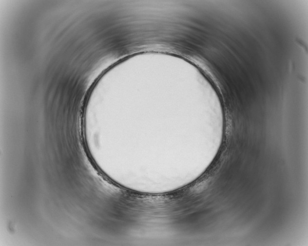 X0000099320999200805301212
