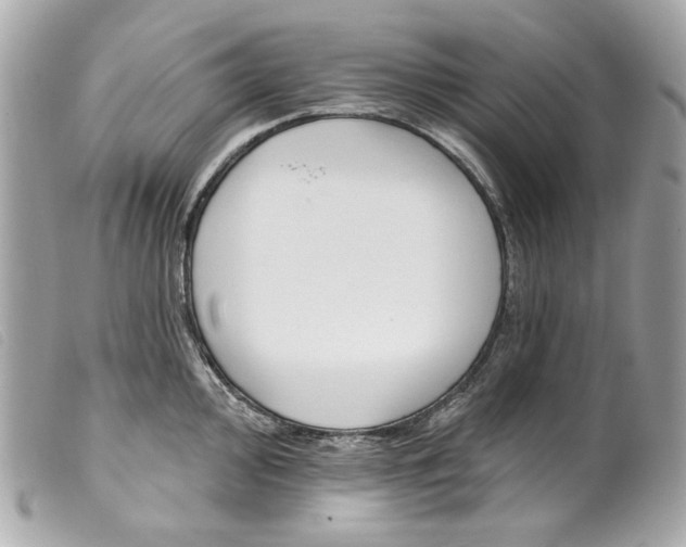X0000099321000200805301212