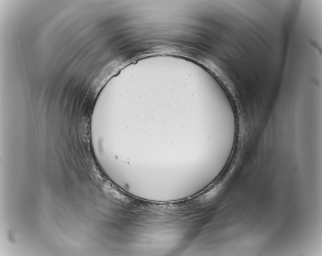 X0000099321001200805301212
