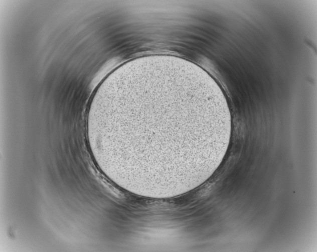 X0000099321002200805301212