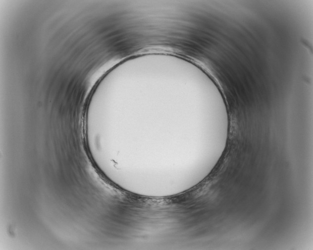 X0000099321003200805301212