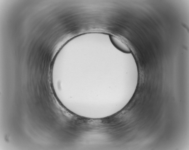 X0000099321006200805301212
