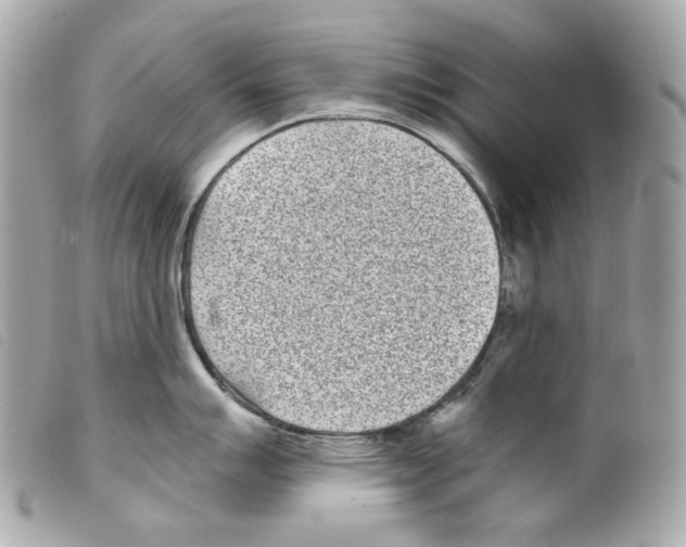X0000099321007200805301212