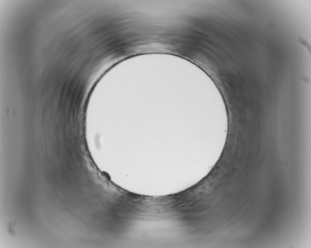 X0000099321008200805301212