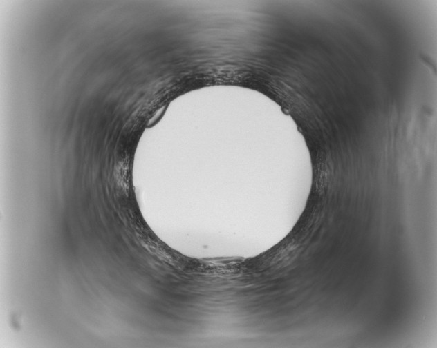 X0000099321010200805301211