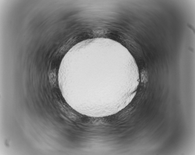 X0000099321011200805301211