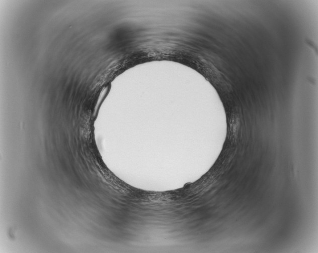 X0000099321012200805301211