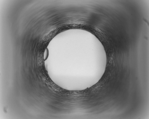 X0000099321014200805301211
